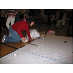 IMG_2772.JPG
